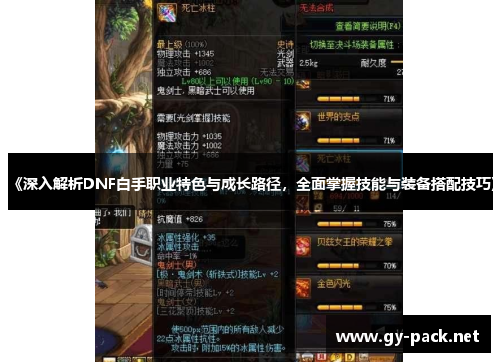 《深入解析DNF白手职业特色与成长路径，全面掌握技能与装备搭配技巧》